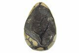 Septarian Dragon Egg Geode - Black Crystals #224198-1